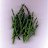 Westcoast Seaweed Inc.'s profile photo